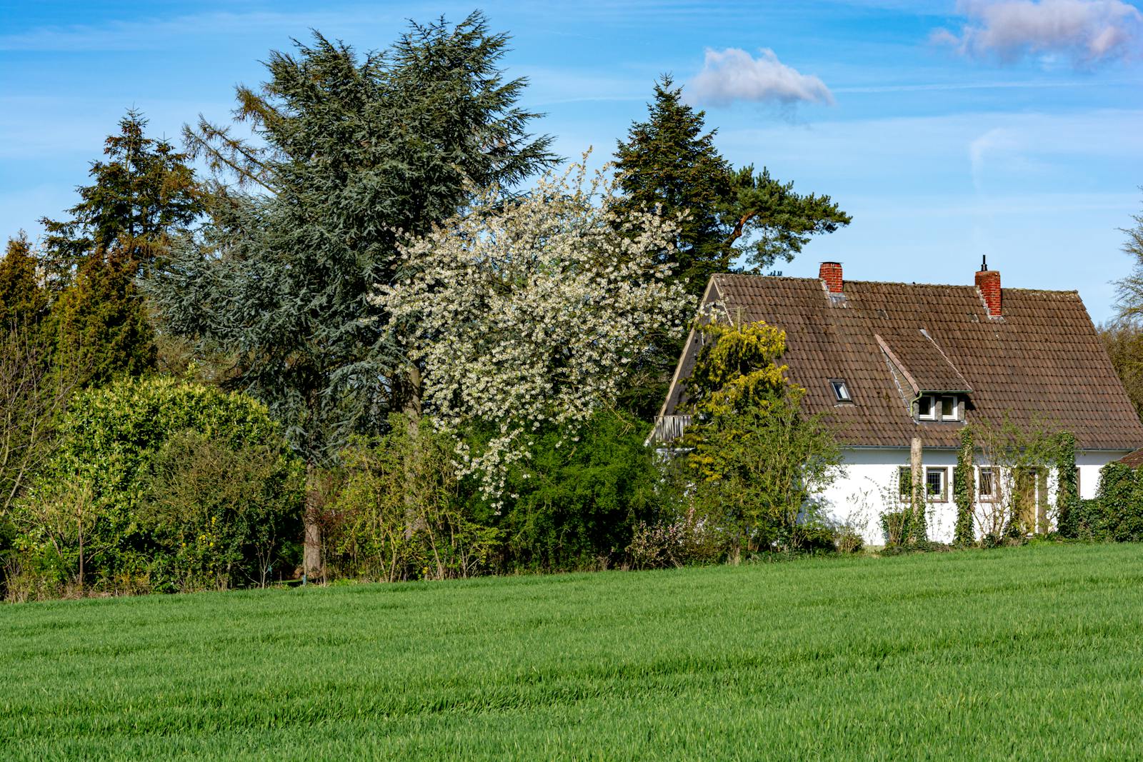 Landowner Says the Belligerent Neighbor Trespassed Onto Rural Property Just to Dump Out Every Rainwater Cache, and Finals Week Is the Worst Possible Time to Deal With It