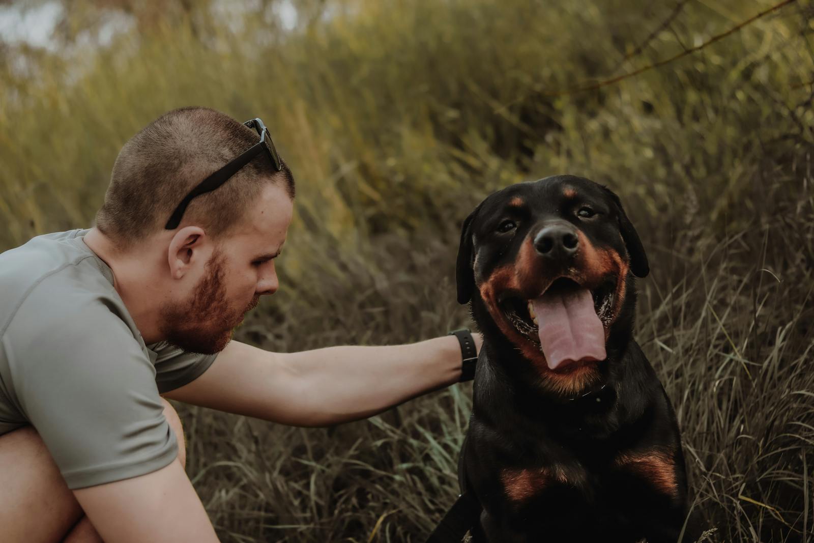 A man in a casual setting petting a happy Rottweiler in nature.