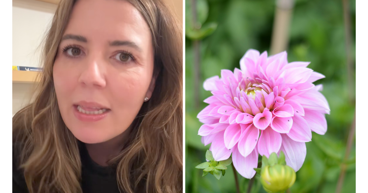 Woman Says She Replants the Same Flowers Every Year, then Explains Why They Always Make the Cut