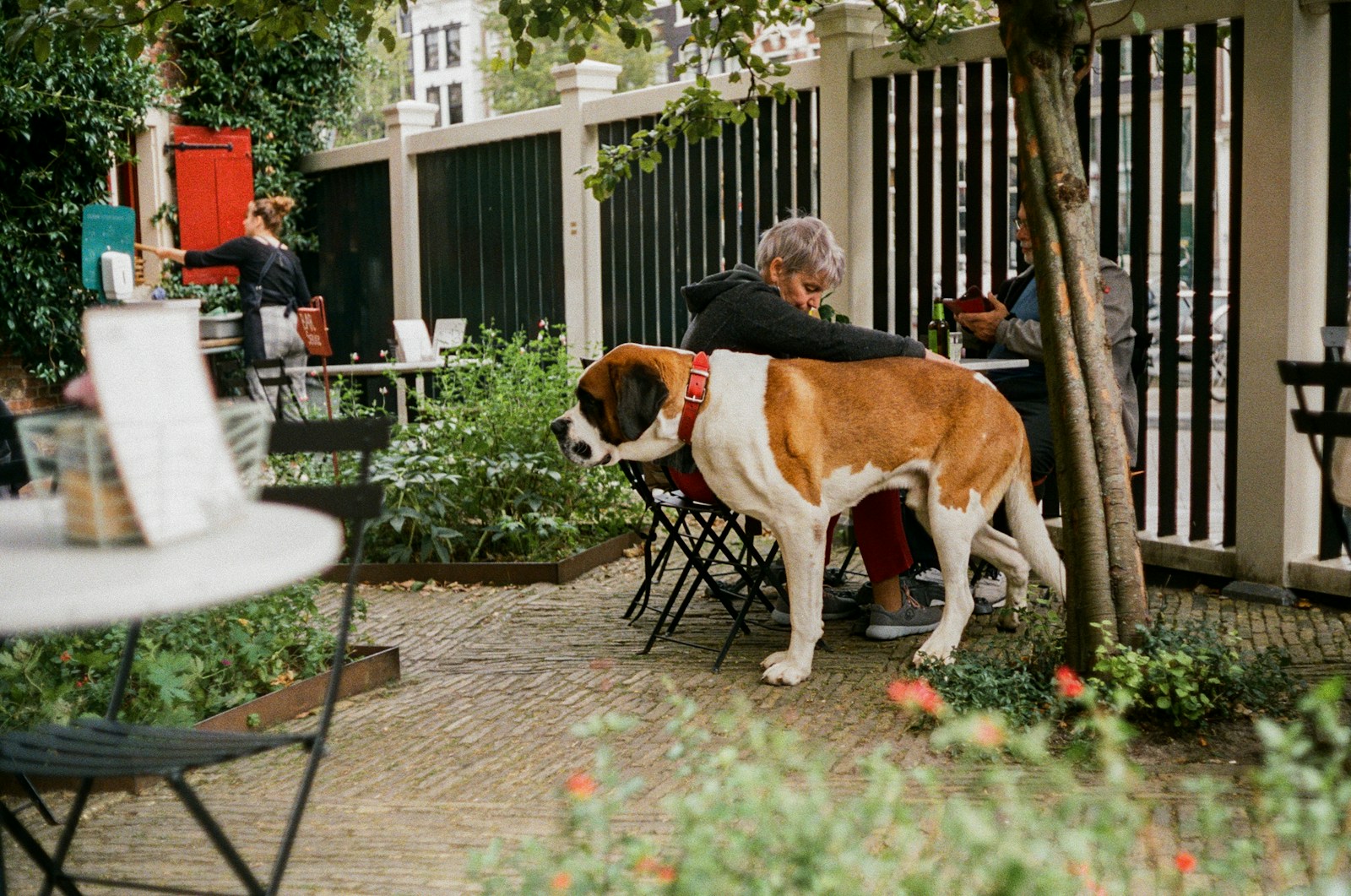 Homeowner Says the “Sibling” Who Moved In Next Door Has One of Them Living in a Backyard Shed With Night Visitors, Extension Cords, and a Setup That Feels Dirtier the Longer You Look