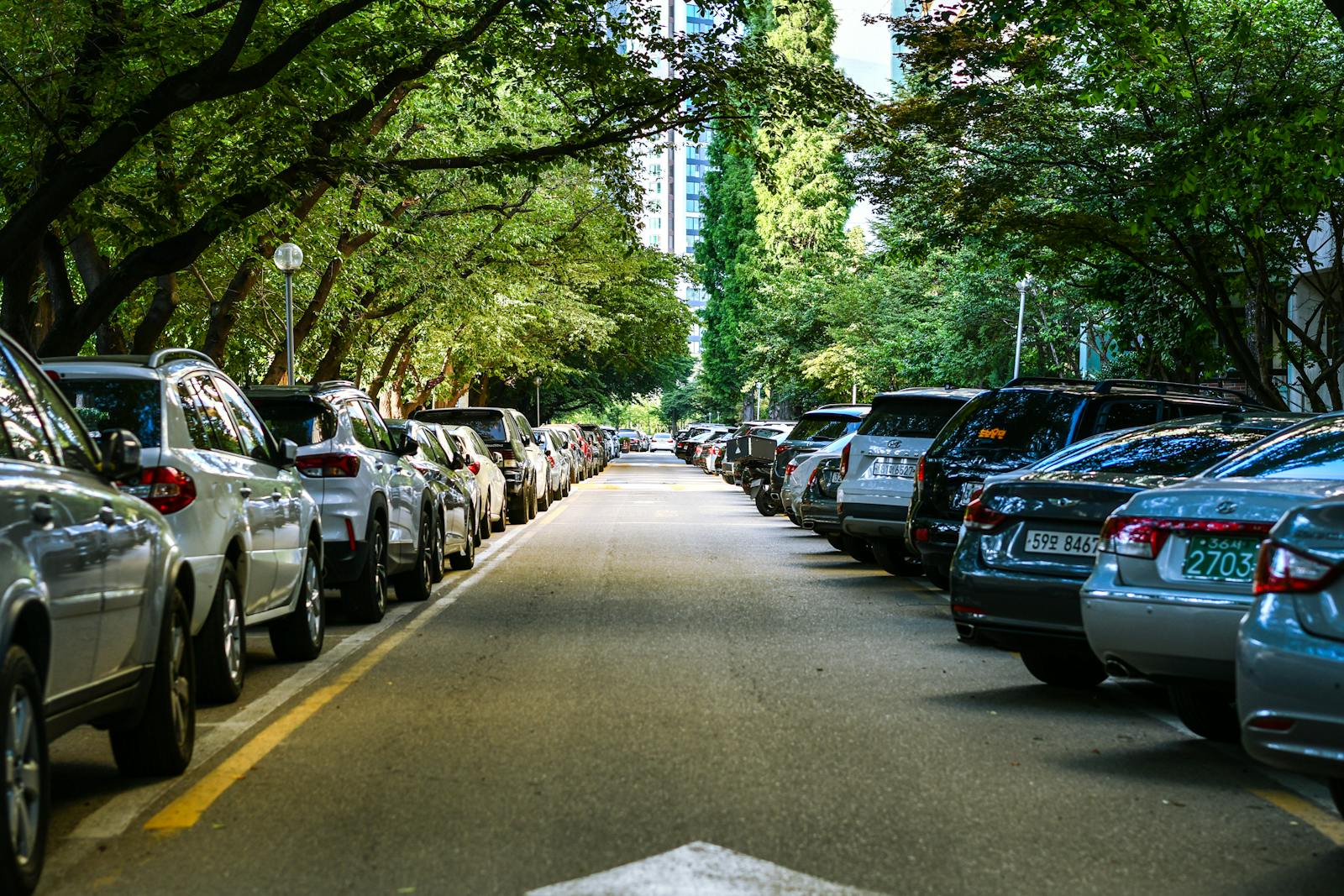Tree-lined street with parked cars and towering buildings in the background.