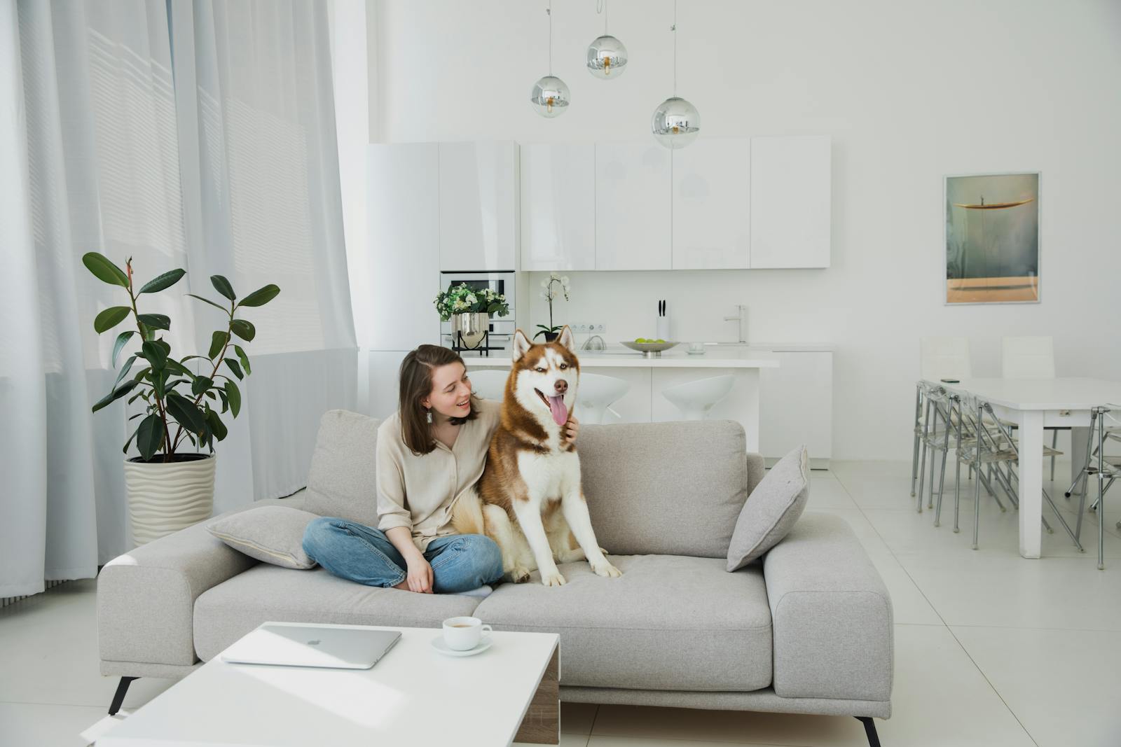 A joyful woman and her husky enjoying a relaxing moment on a sofa in a bright living room.