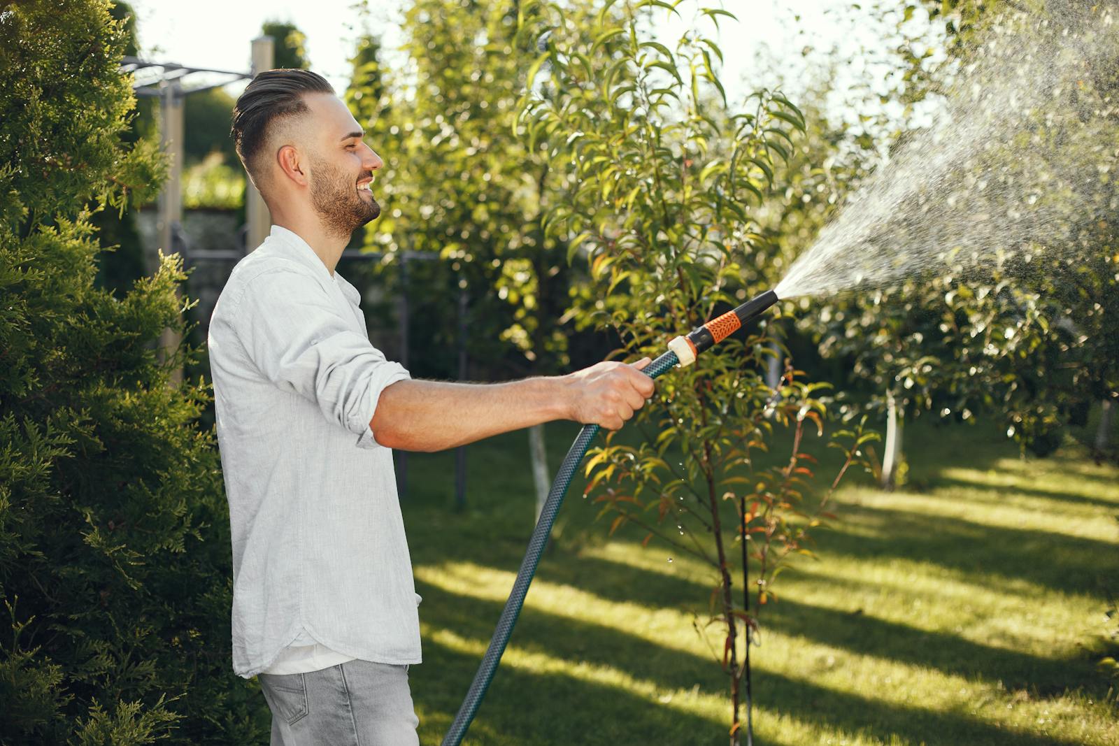 Smiling man in a white shirt watering plants in a lush green garden. Bright and clear day.