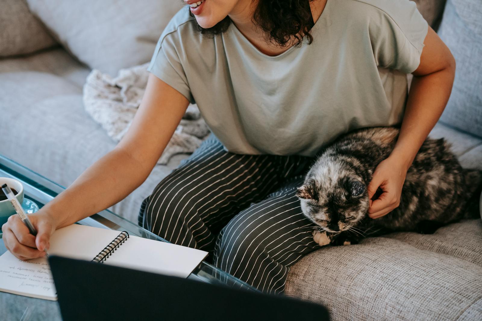 Crop anonymous cheerful female with fluffy spotted cat smiling and taking notes in notebook at table with laptop