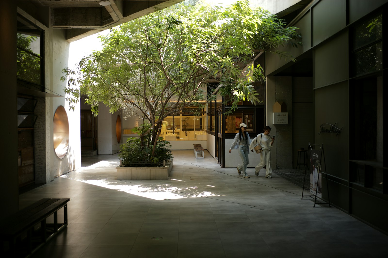 Modern courtyard with a large tree and sunlight
