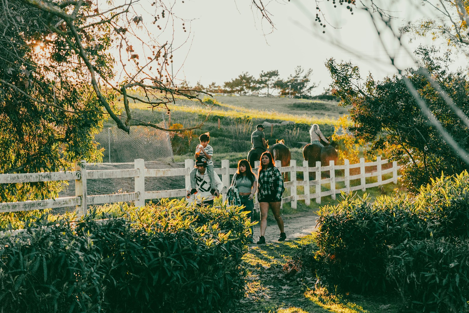 Group of friends gathered on a sunny rural path.