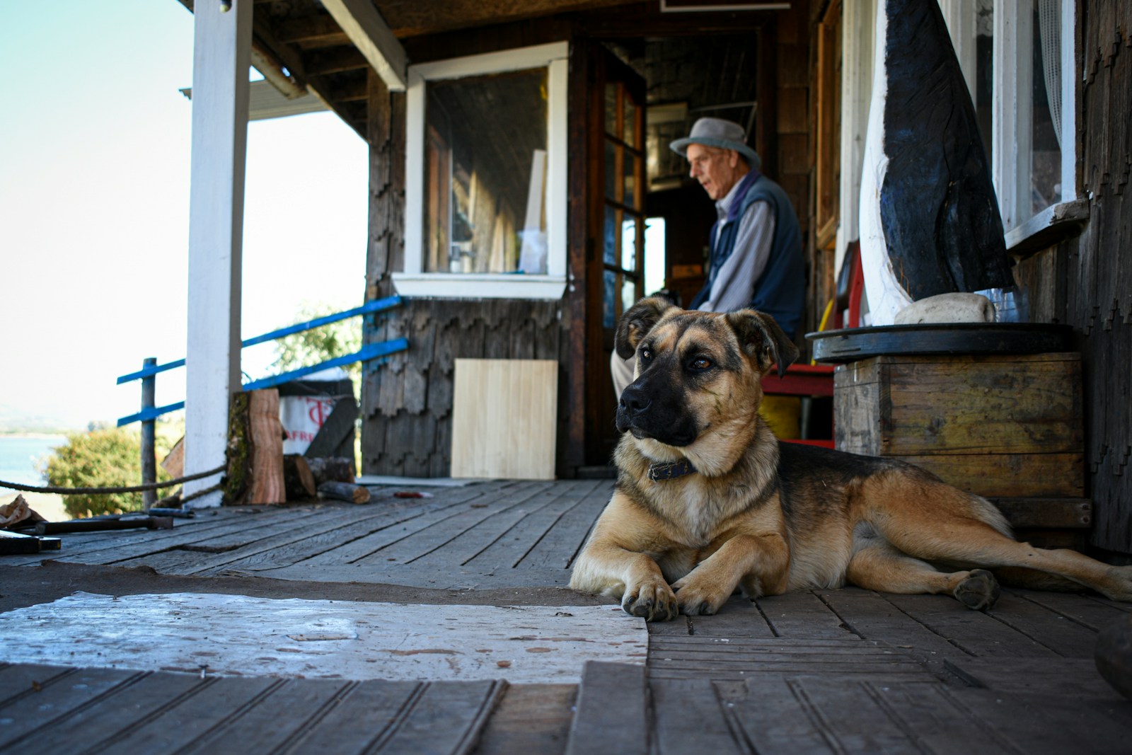 A dog rests on a porch near an elderly man.