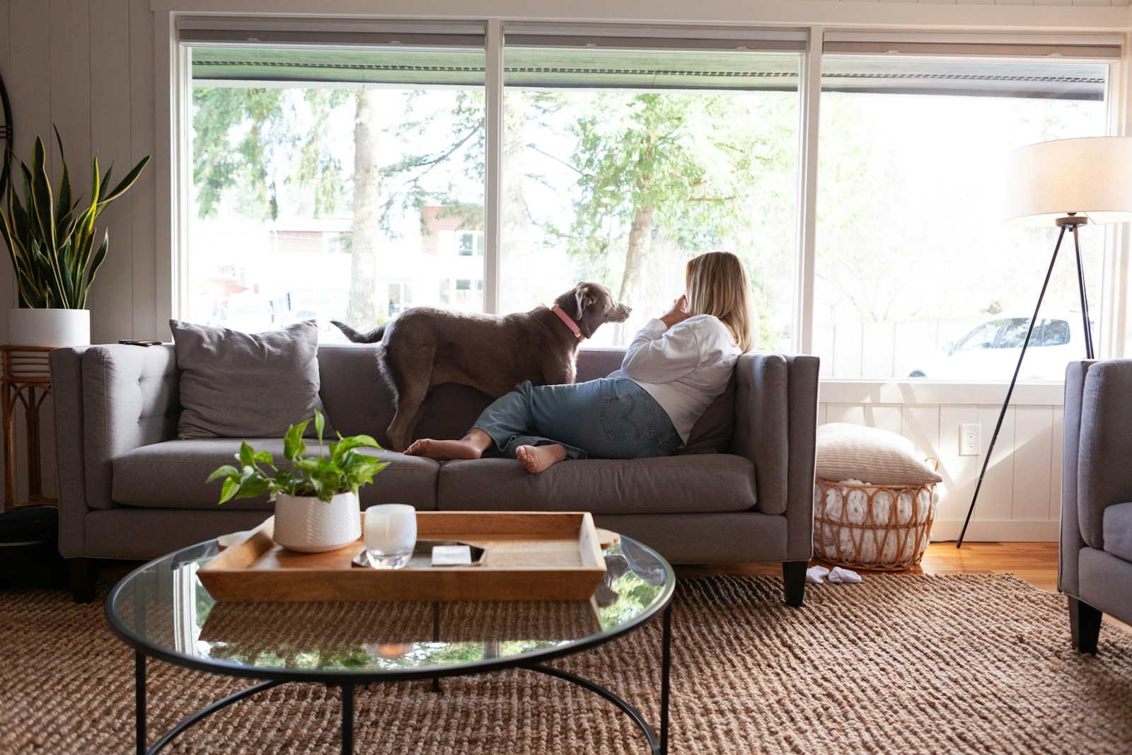 Dog and woman are relaxing in a living room.