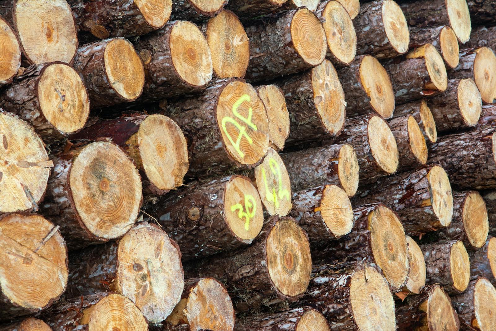 Neighbor Runs A Wood-Selling Operation And Stacks Logs Against Their Cedar Fence, Leaving Them Wondering How To Stop It “Without Talking To Him”
