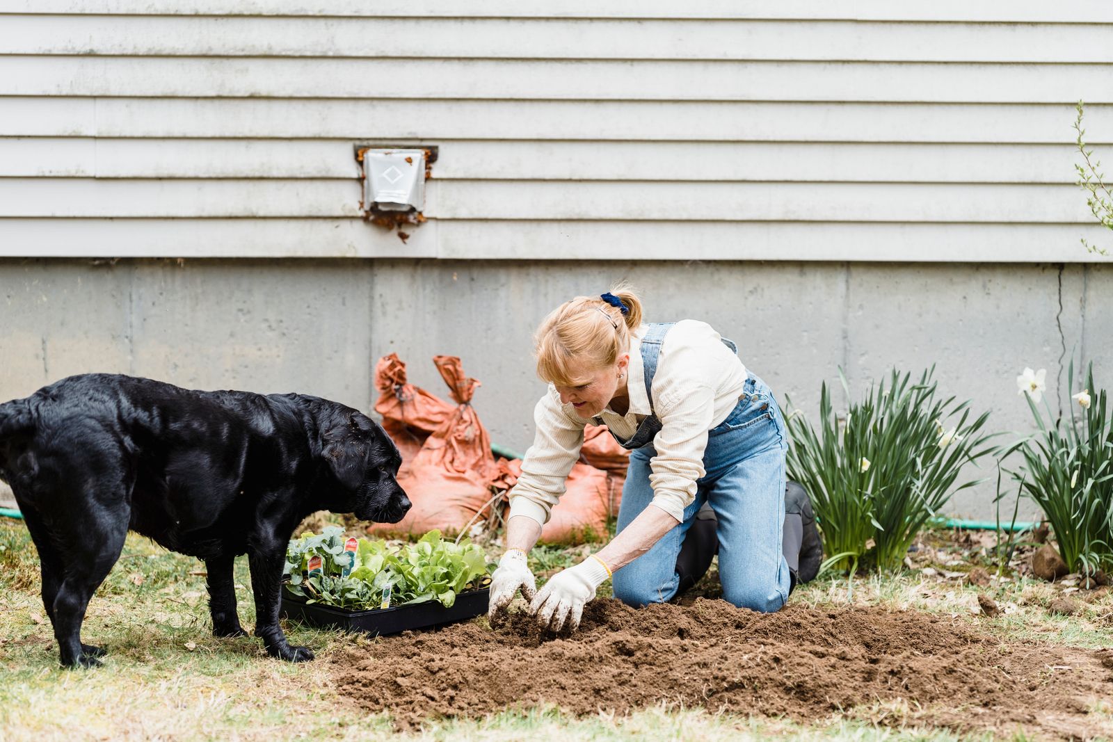 AT&T Runs Expansion Cable Through Her Backyard Without Asking, Leaves It Unburied For A Month, And Her Dog Keeps Running Along The Trench