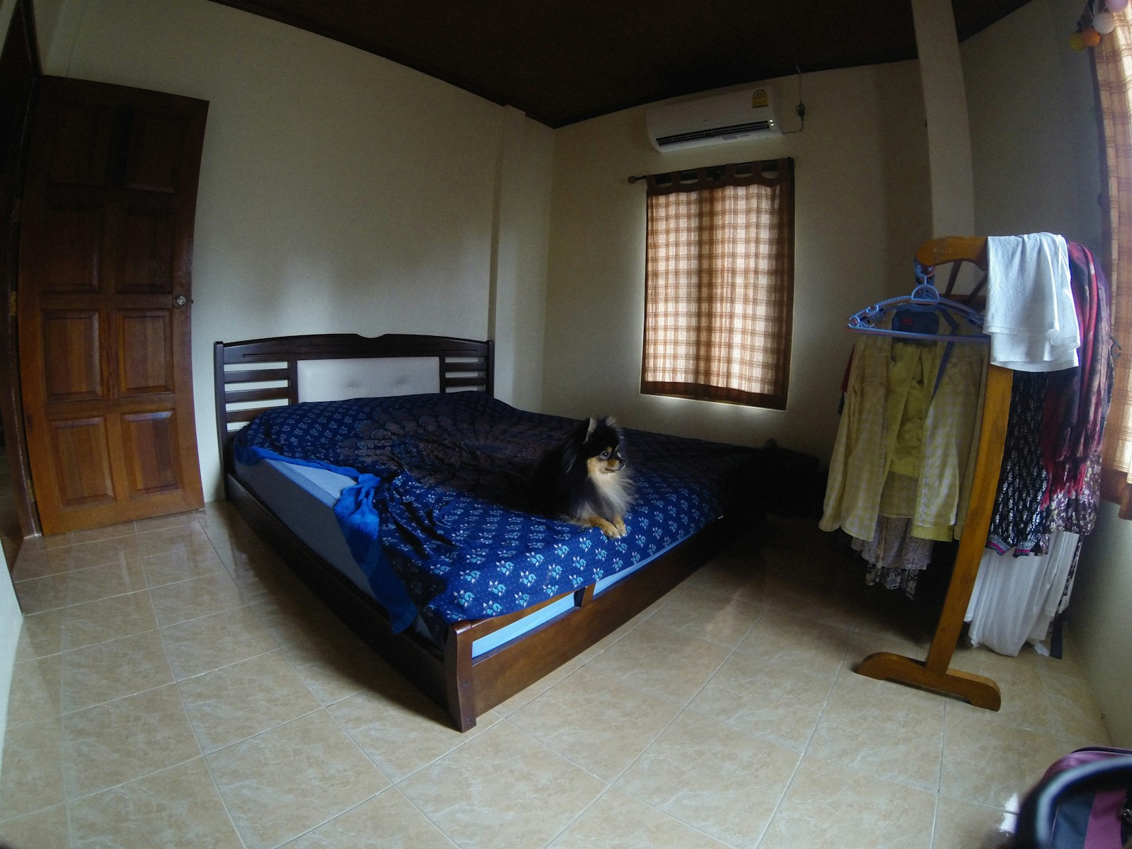 a dog laying on a bed in a bedroom