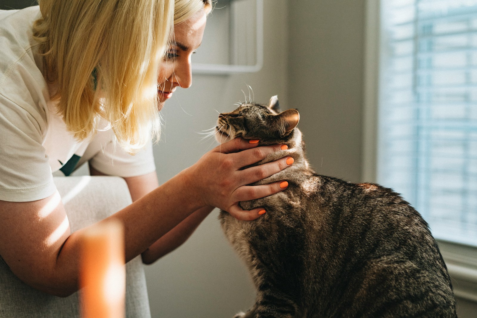 Roommate Overfeeds A Rescue Cat Until The Vet Is Worried, Then Acts Offended When The Owner Finally Separates Her Cats’ Food