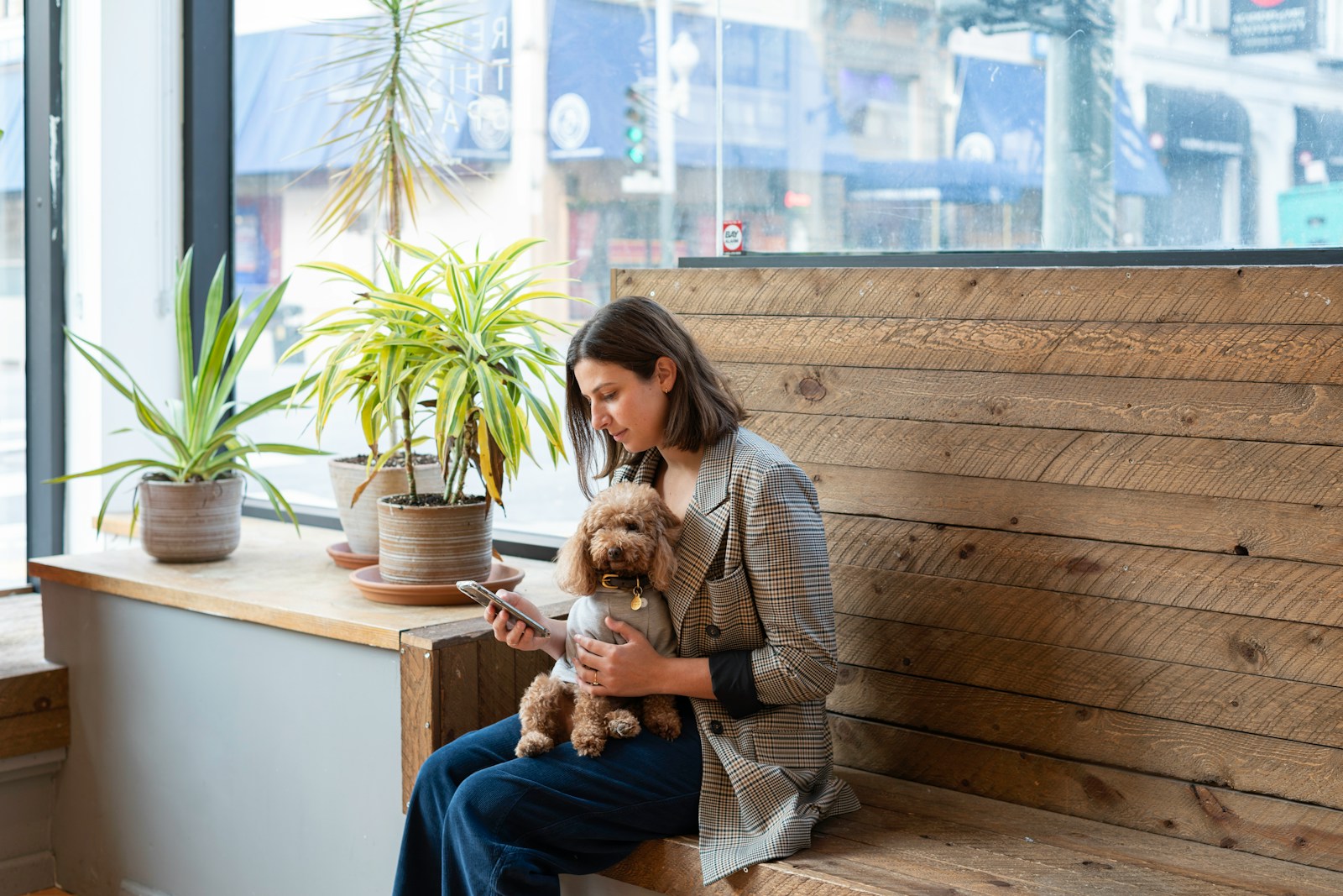 woman in gray sweater carrying brown dog