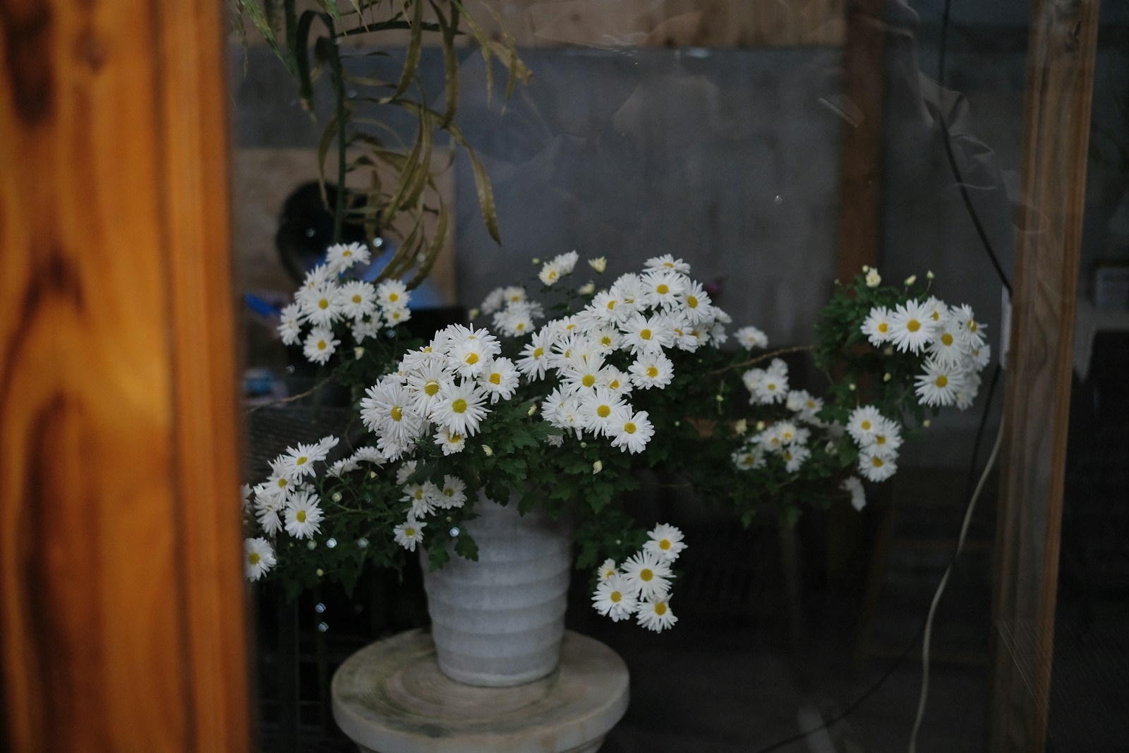 A vase of white flowers sits on a stand.