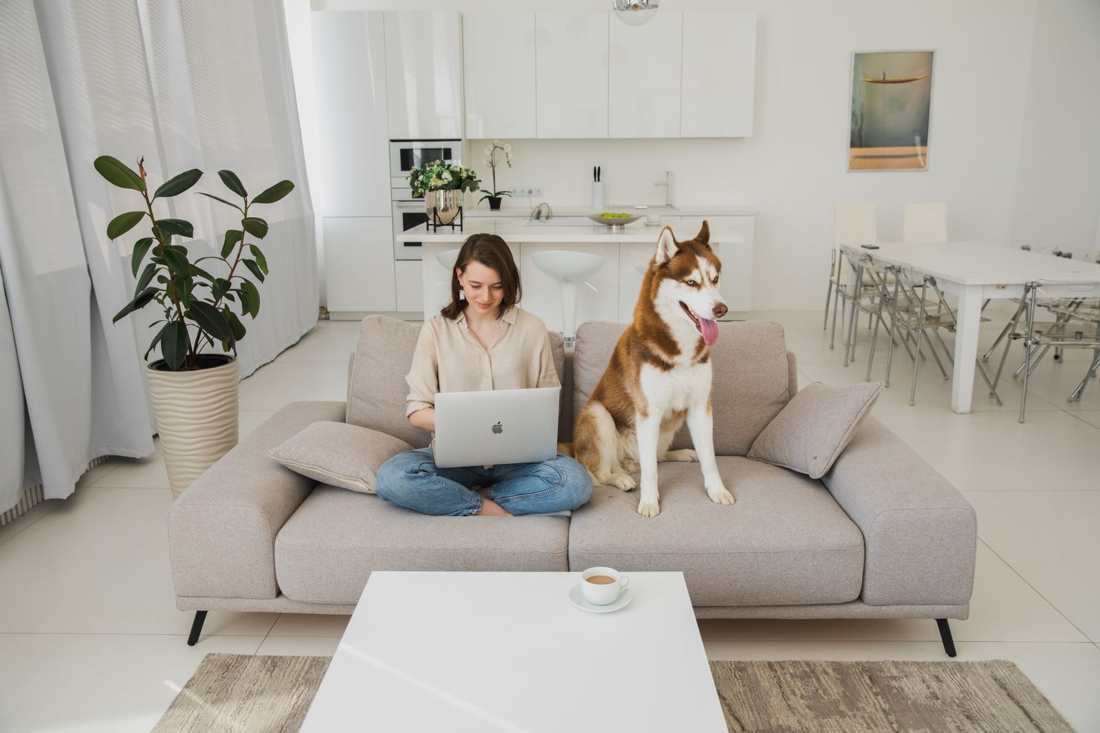 Woman Adopts an Unwanted Husky, Solves Every Behavior Problem, and Introduces Him to a New Canine Best Friend, Then the Former Owner Changes Their Mind Two Weeks Later and Demands the Dog Back