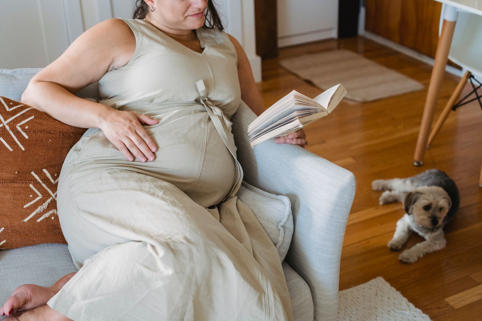 From above crop cheerful pregnant lady in casual dress sitting on comfortable couch and reading interesting book while dog lying nearby on parquet