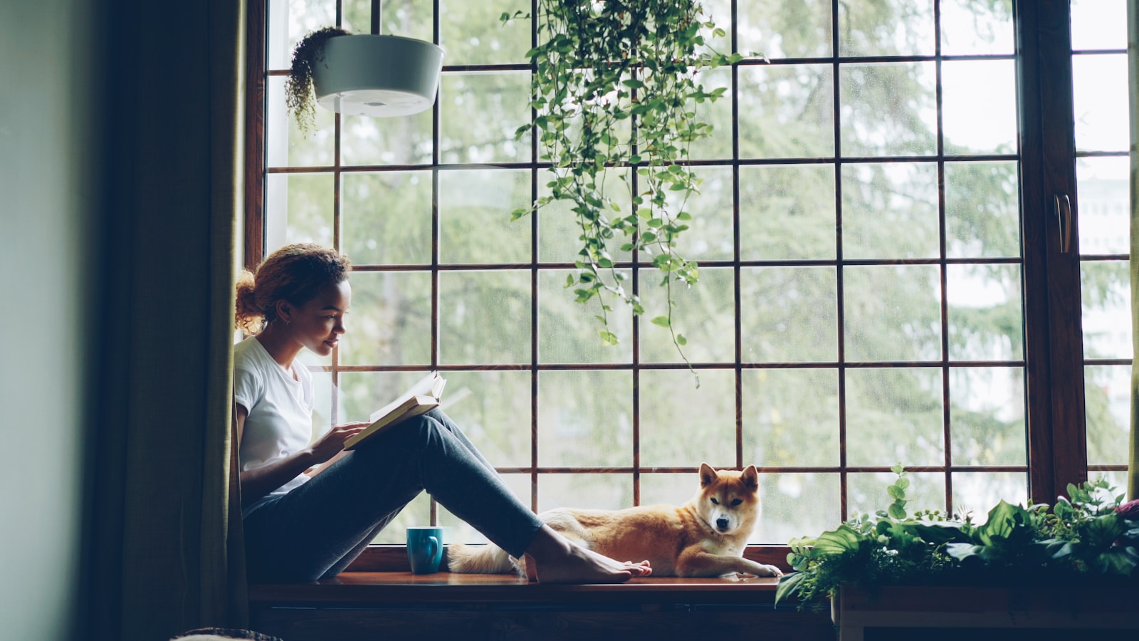 Cat Owner’s Faulty Tracker Points to the Same Neighbor’s Home for Three Years, So She Repeatedly Trespasses, Peers Through Windows, and Posts Accusations Online—Until the Allergic Homeowner Locks the Gate and Treats It as Harassment