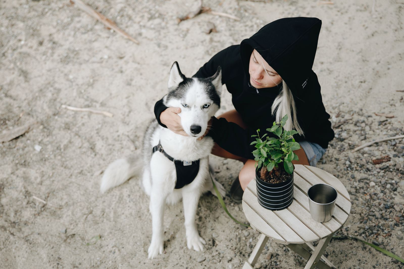 A woman in a hoodie and shorts sits with her Siberian Husky next to a potted plant on a sandy outdoor surface.