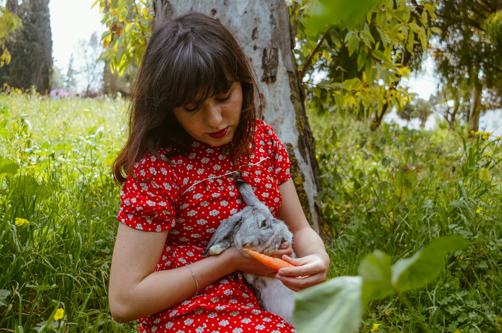 girl in red and white floral dress sitting on tree
