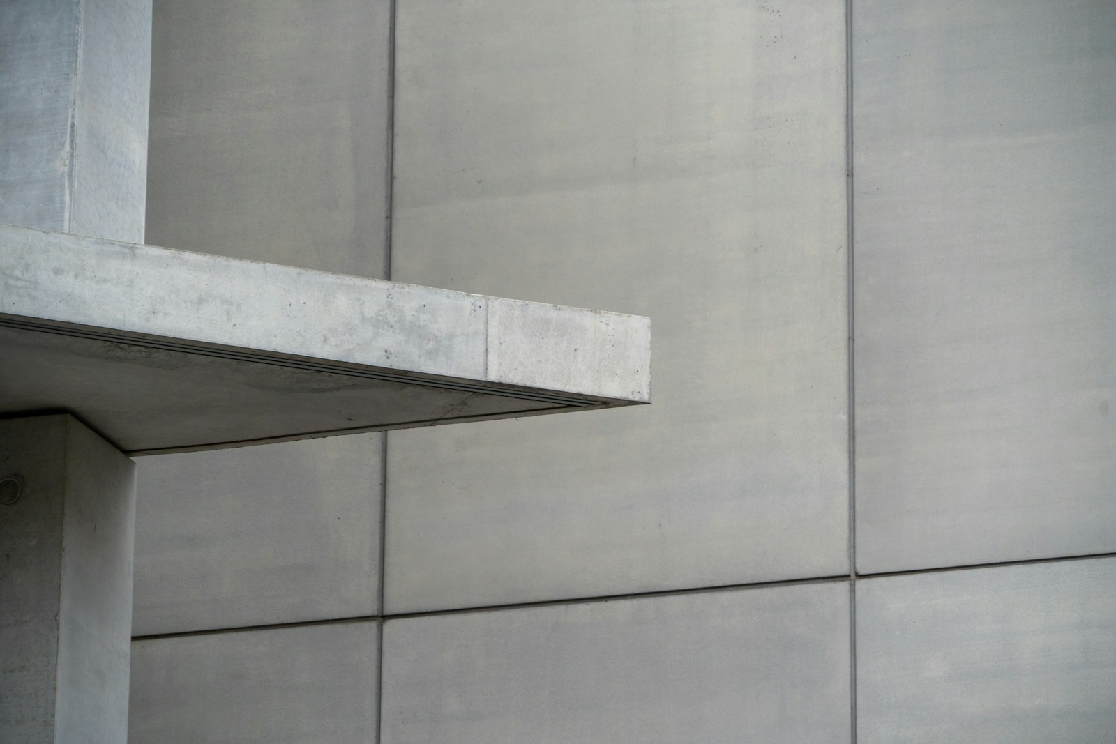 A bird is perched on the ledge of a building