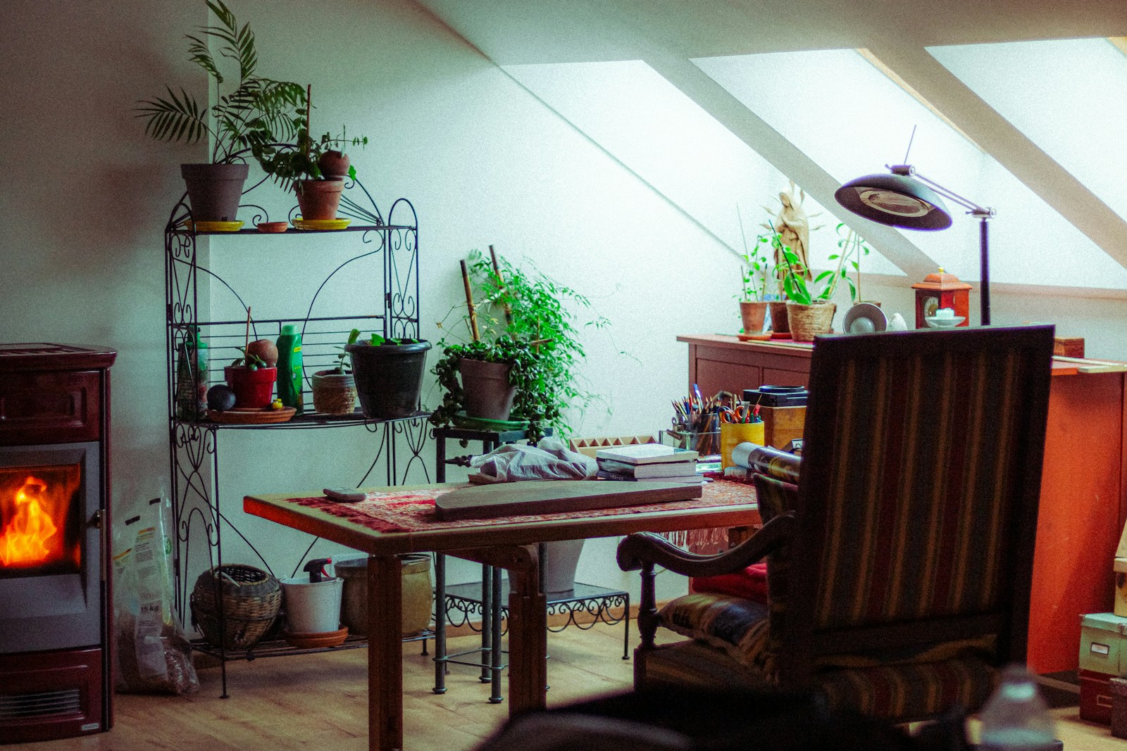 Cozy room with desk, plants, and fireplace