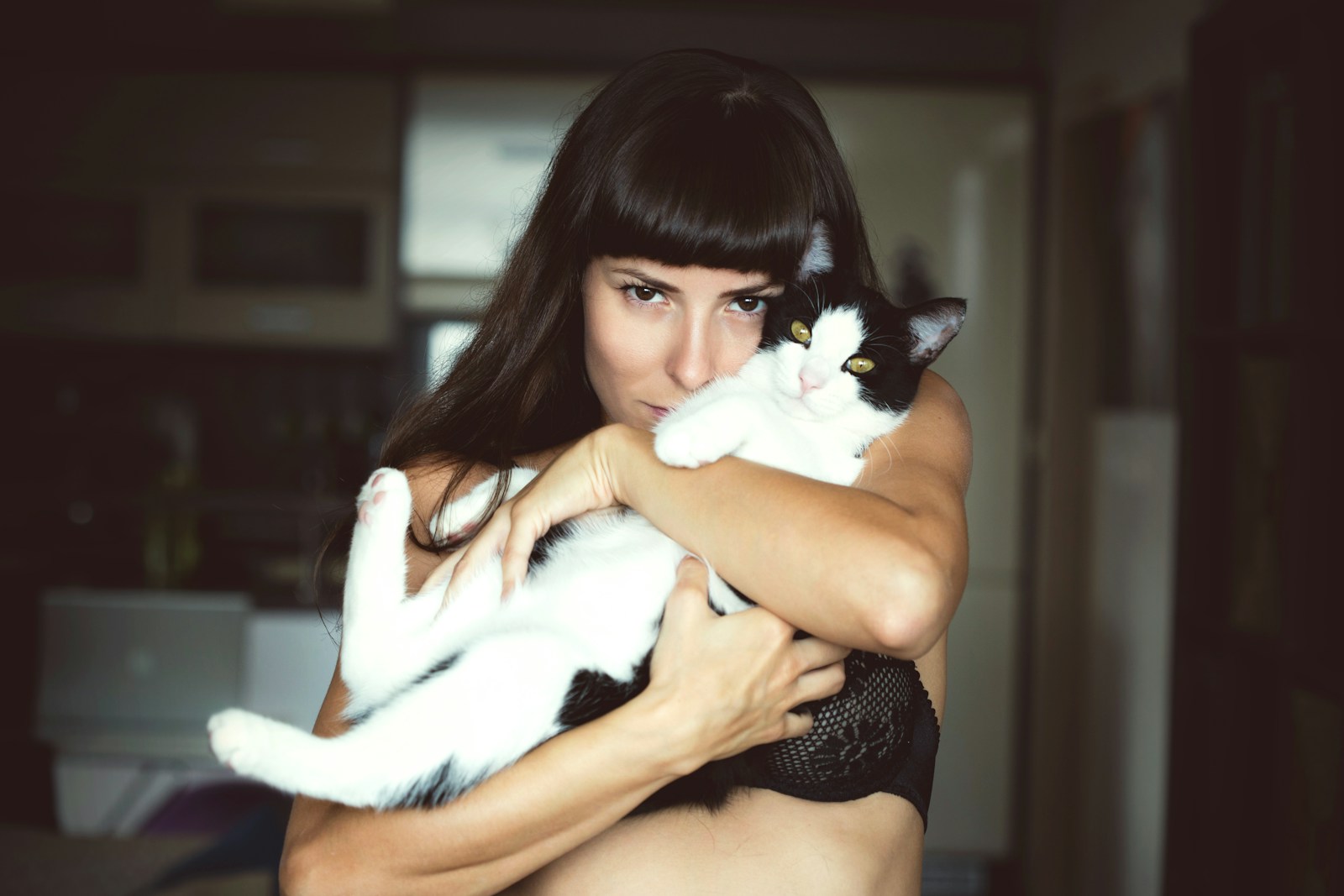 Brother Gets a Month of Free Cat Care, Food, and Vet Visits While Traveling Australia, Then Demands His Sister Keep Paying Because She Visits Twice a Week—Only to Be Called a “B*tch” in Front of the Entire Family