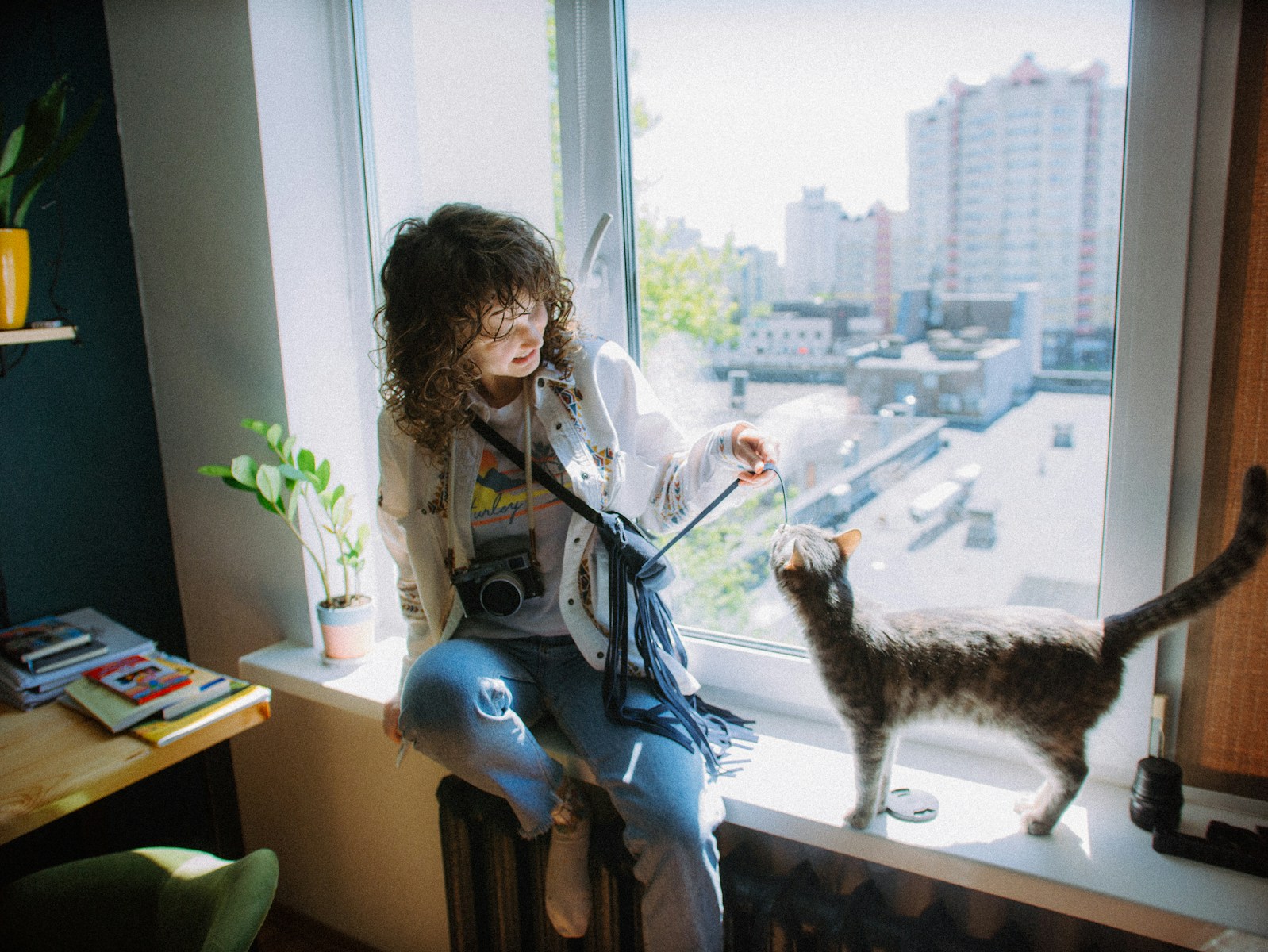 Mother “Accidentally” Releases Her 14-Year-Old’s Two Cats During a Move, Waits a Week to Mention It, Obstructs Every Search, and Says the Starving Cat Finally Found After Three Weeks Still Cannot Come Home—Then Denies Any of It Happened