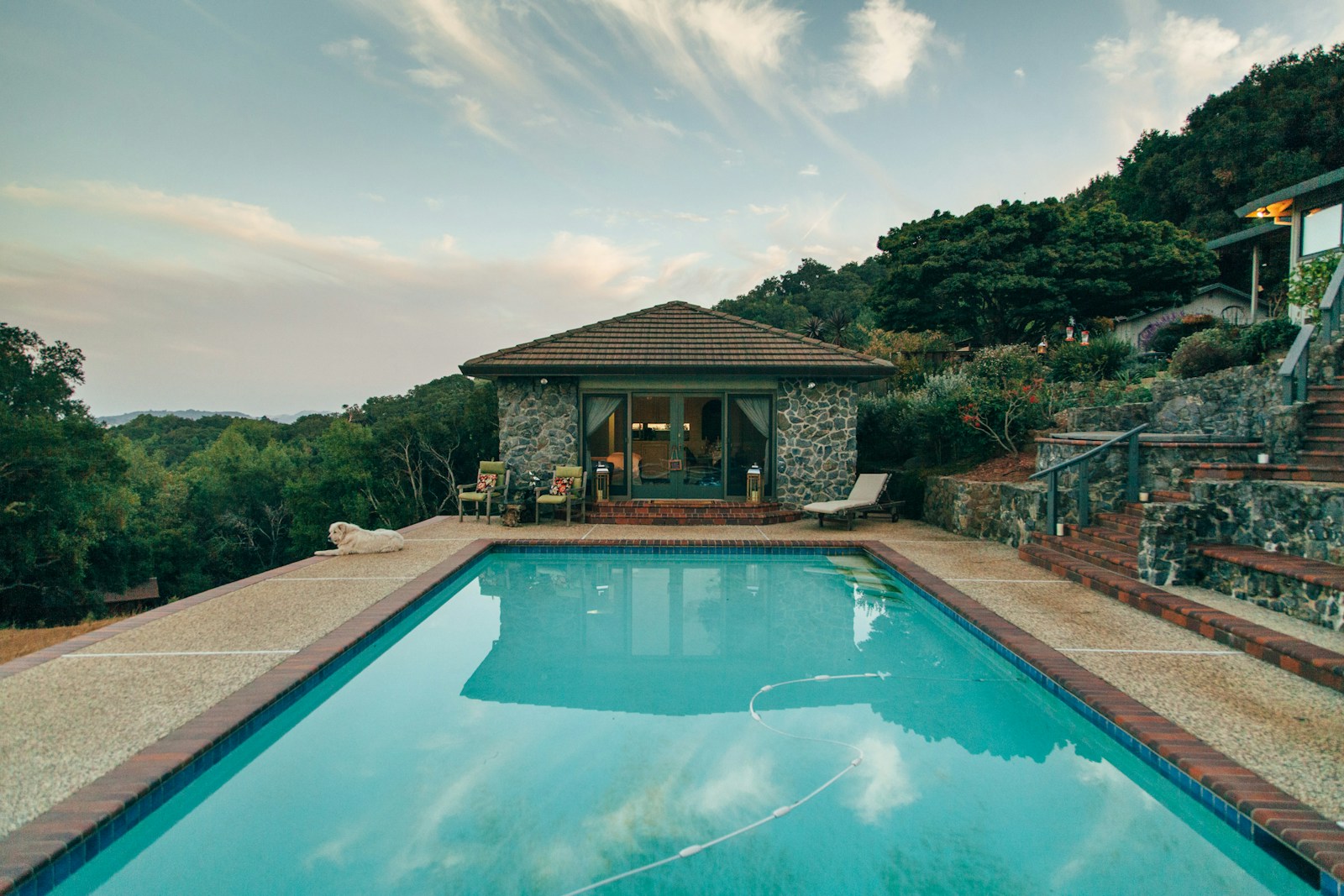 A stone pool house with a swimming pool and a dog on the deck