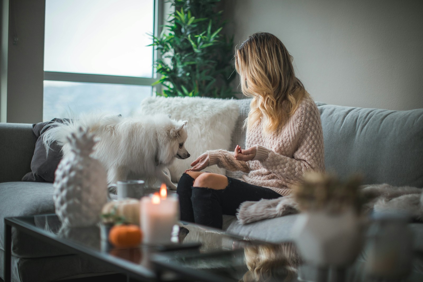 Newlywed Mother-in-Law Agrees to Stay Out of the Couple’s Bedroom, Then Sneaks In Hours Later to Wash Her Adult Son’s Clothes and Donates Their Groceries to Bible Study—Leaving the Bride Counting Down to Their October Move