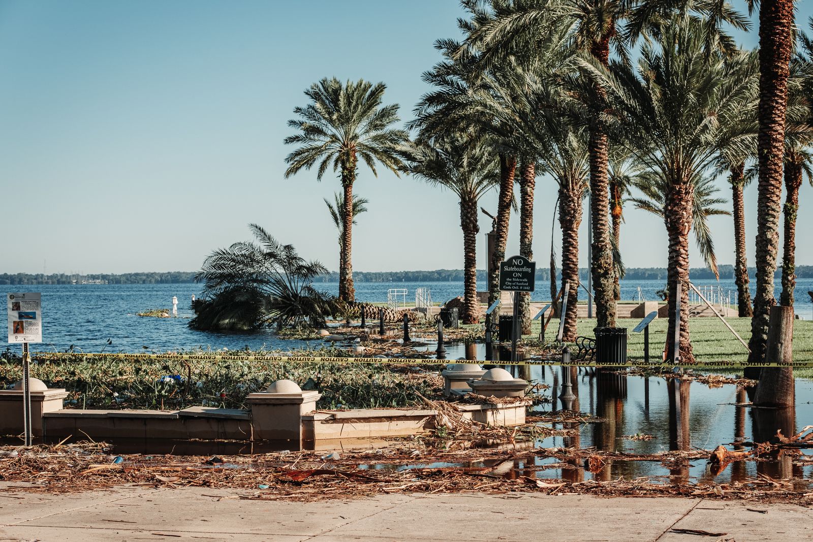 Flooded coastal area with palm trees and an occluded path post-storm damage in Florida.