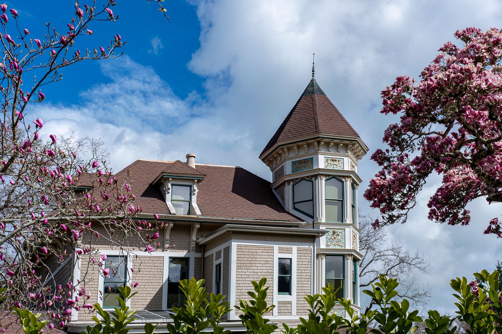 Charming Victorian house with spring blossoms and blue sky.