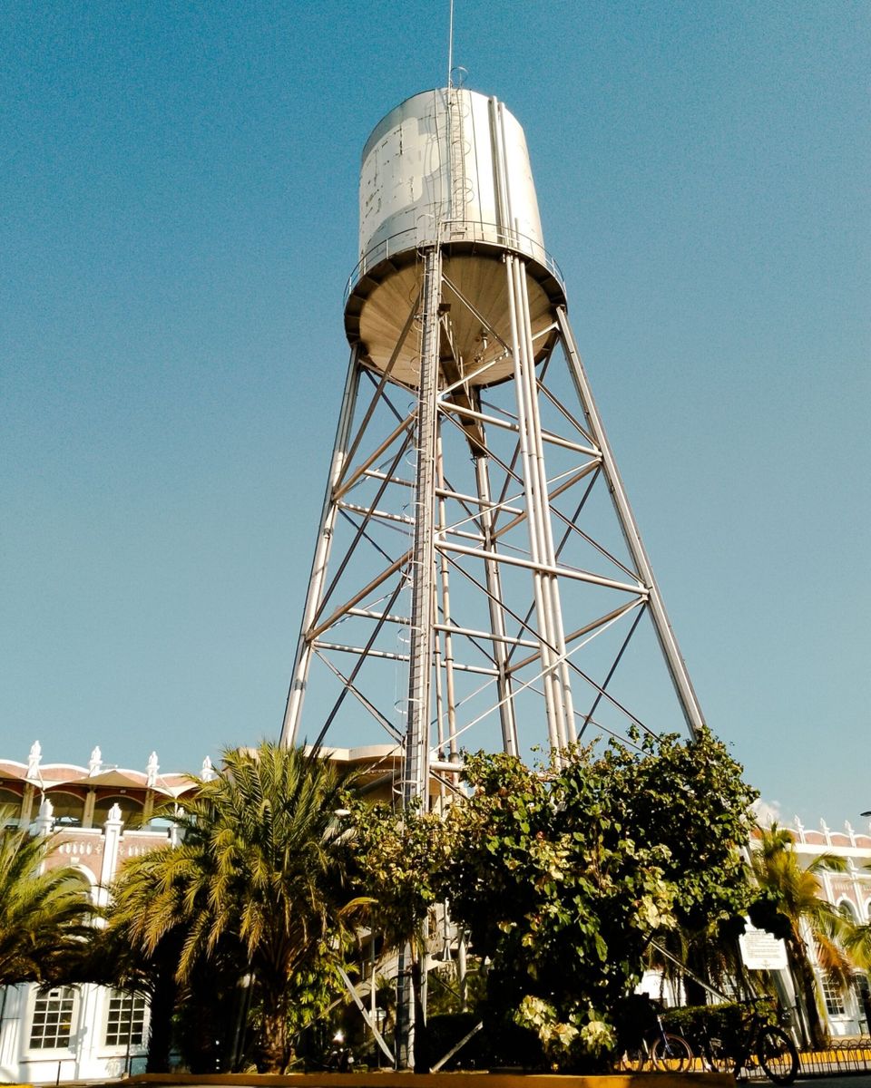 Water tower with metal framework amidst palm trees under clear blue sky.
