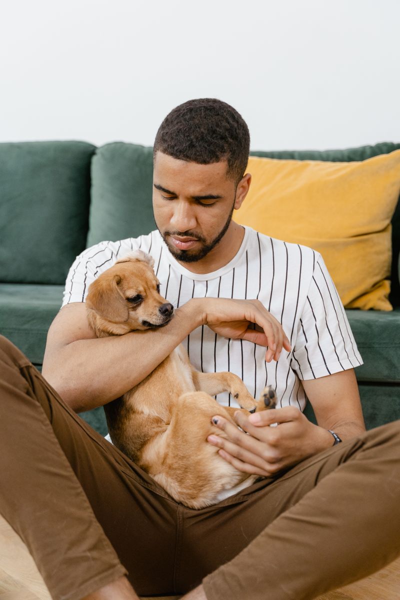 A man lovingly holds his Chihuahua on a couch, displaying a moment of relaxation and companionship.