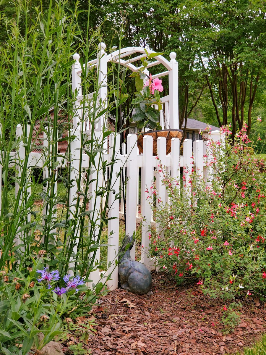 White picket fence archway with flowers and a rabbit statue