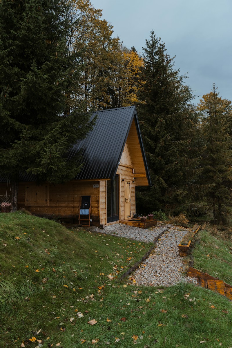 a small cabin in the middle of a forest
