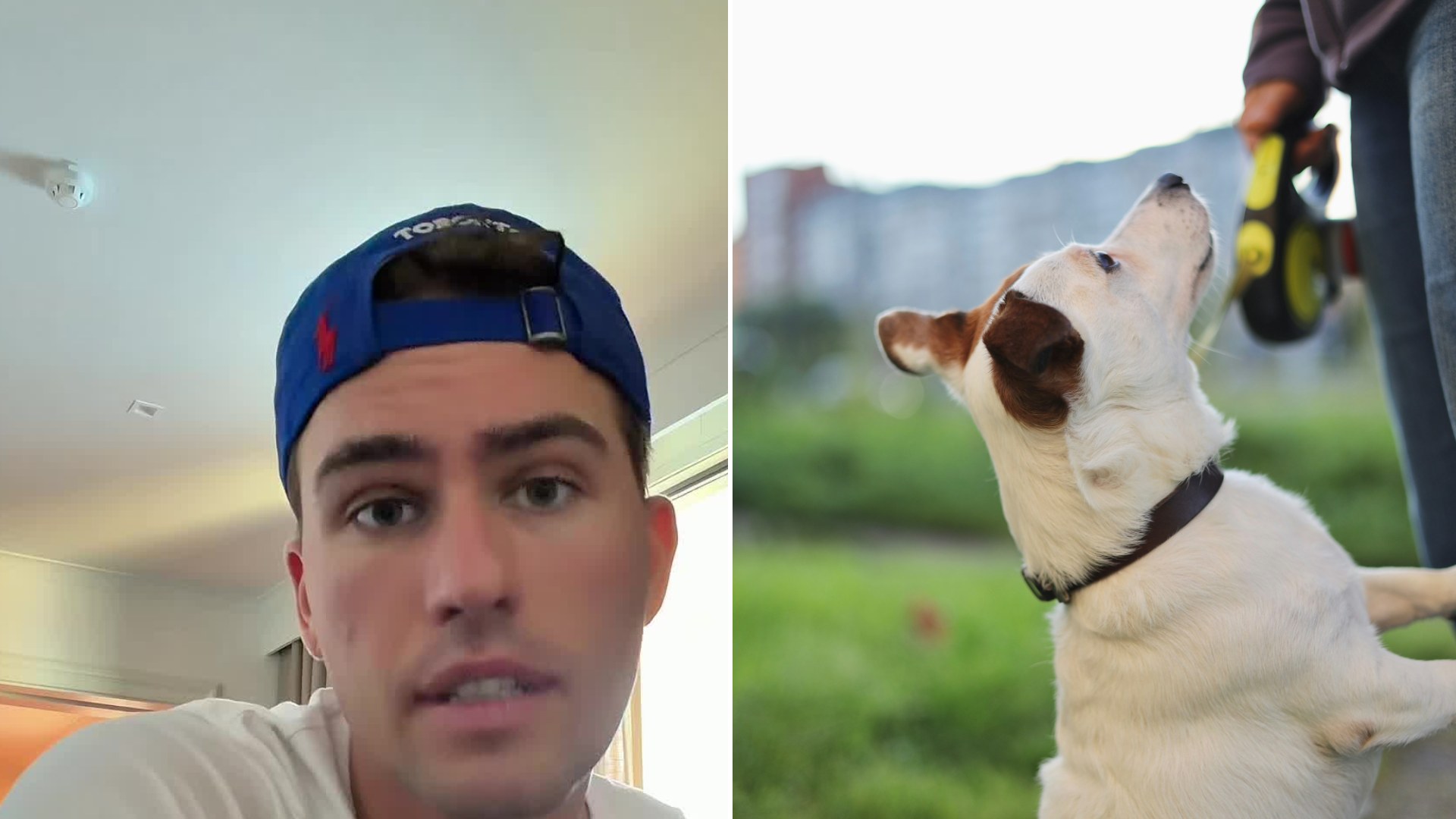 Split image: a young man in a backwards blue cap speaks to camera in a bright room, next to a small white dog on a leash looking up at its handler in a park