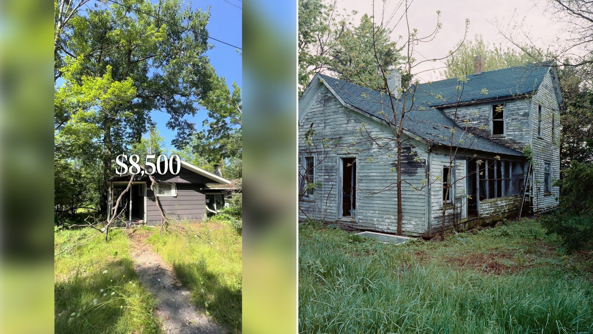 Left: TikTok still of a small run-down house in an overgrown yard with an "$8,500" caption. Right: an abandoned farmhouse in tall grass (Unsplash photo by AJ Wallace).