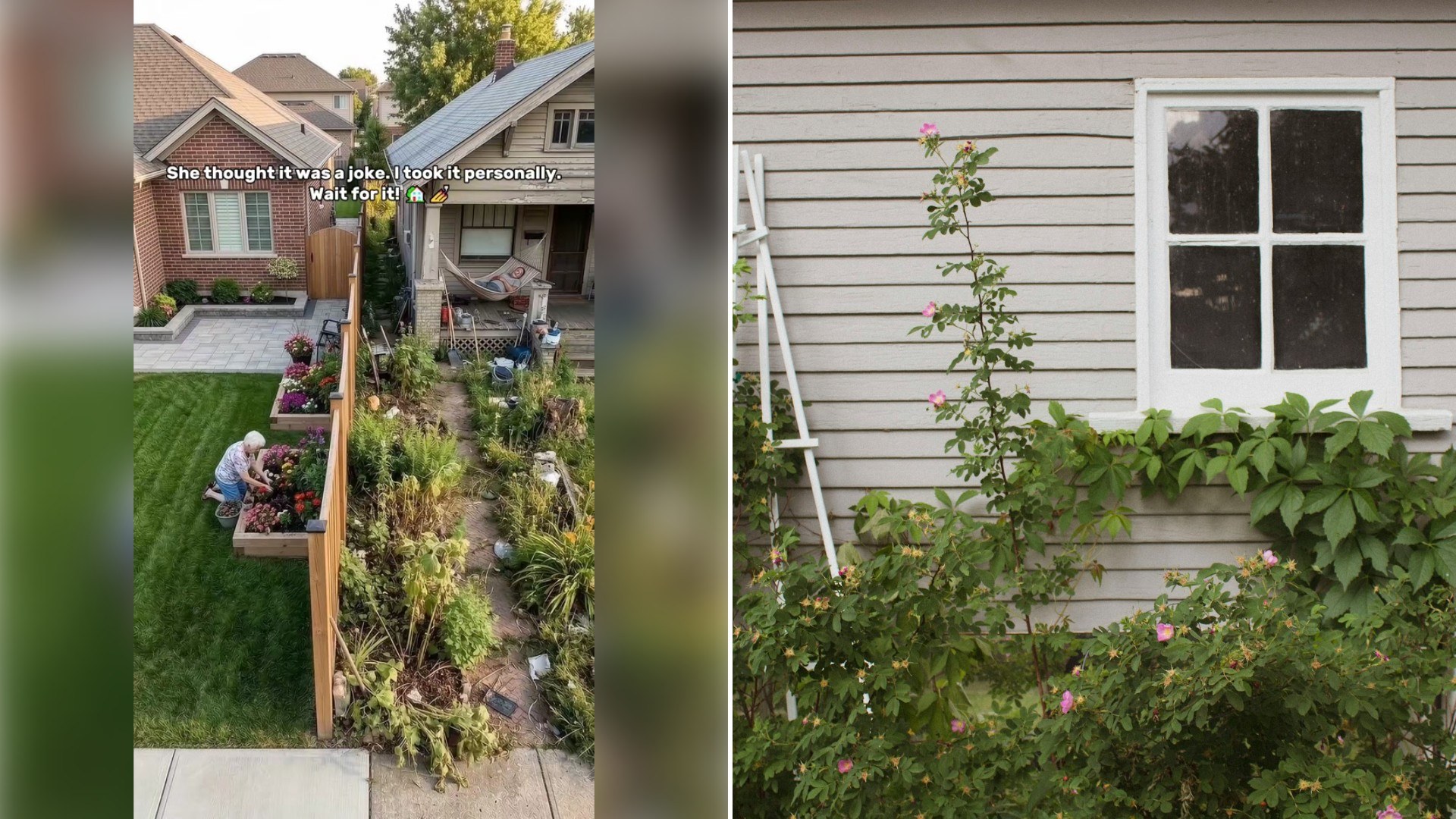 Left: TikTok still of a yard with a garden beside a house. Right: a house wall with a window and green plants (Unsplash photo by Marina De Salis).