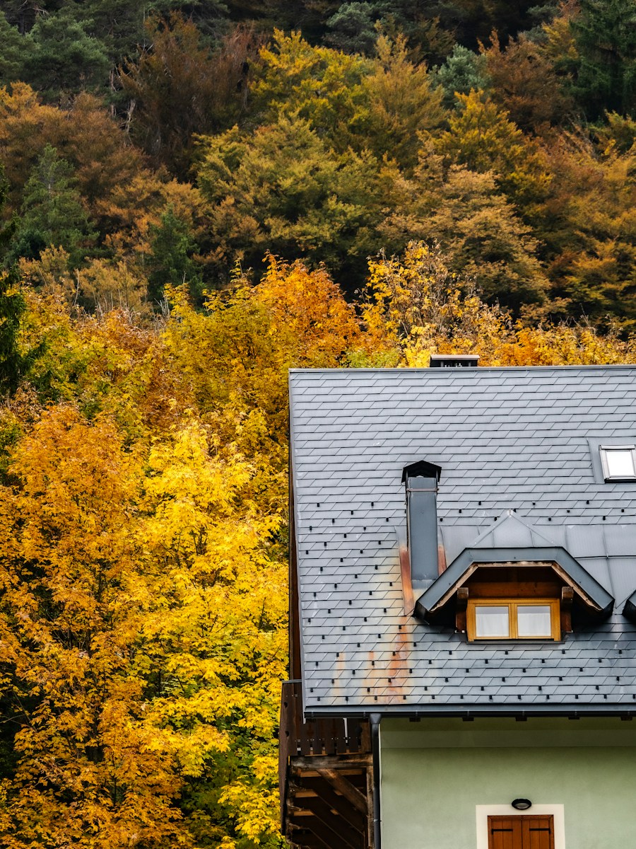 A house with a dormer window against autumn trees