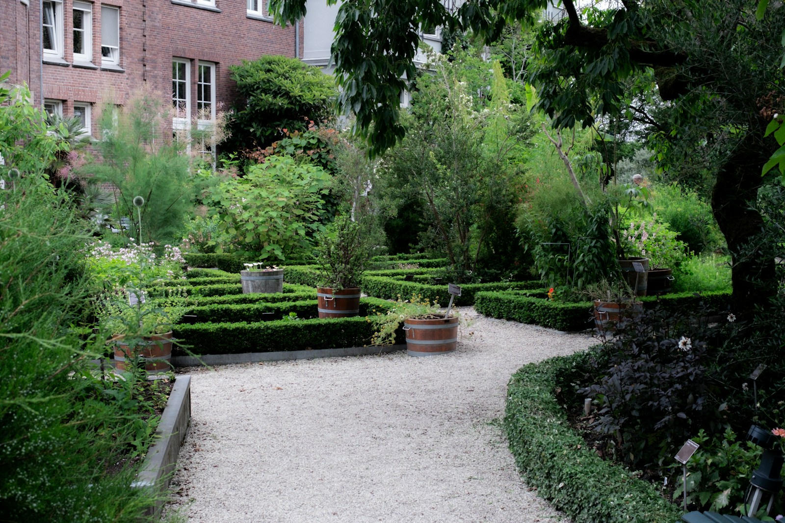 A formal garden with manicured hedges and a gravel path