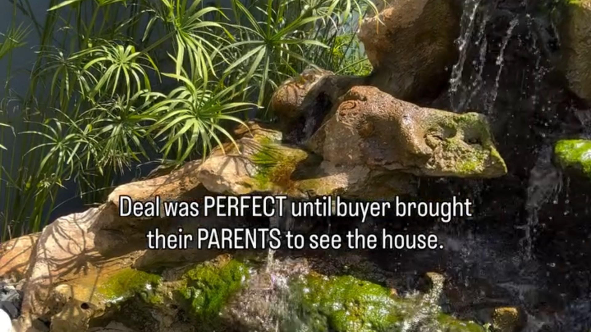 Frame from the maria.s.smyslova Instagram reel showing a backyard rock waterfall and pond with the caption Deal was PERFECT until buyer brought their PARENTS to see the house