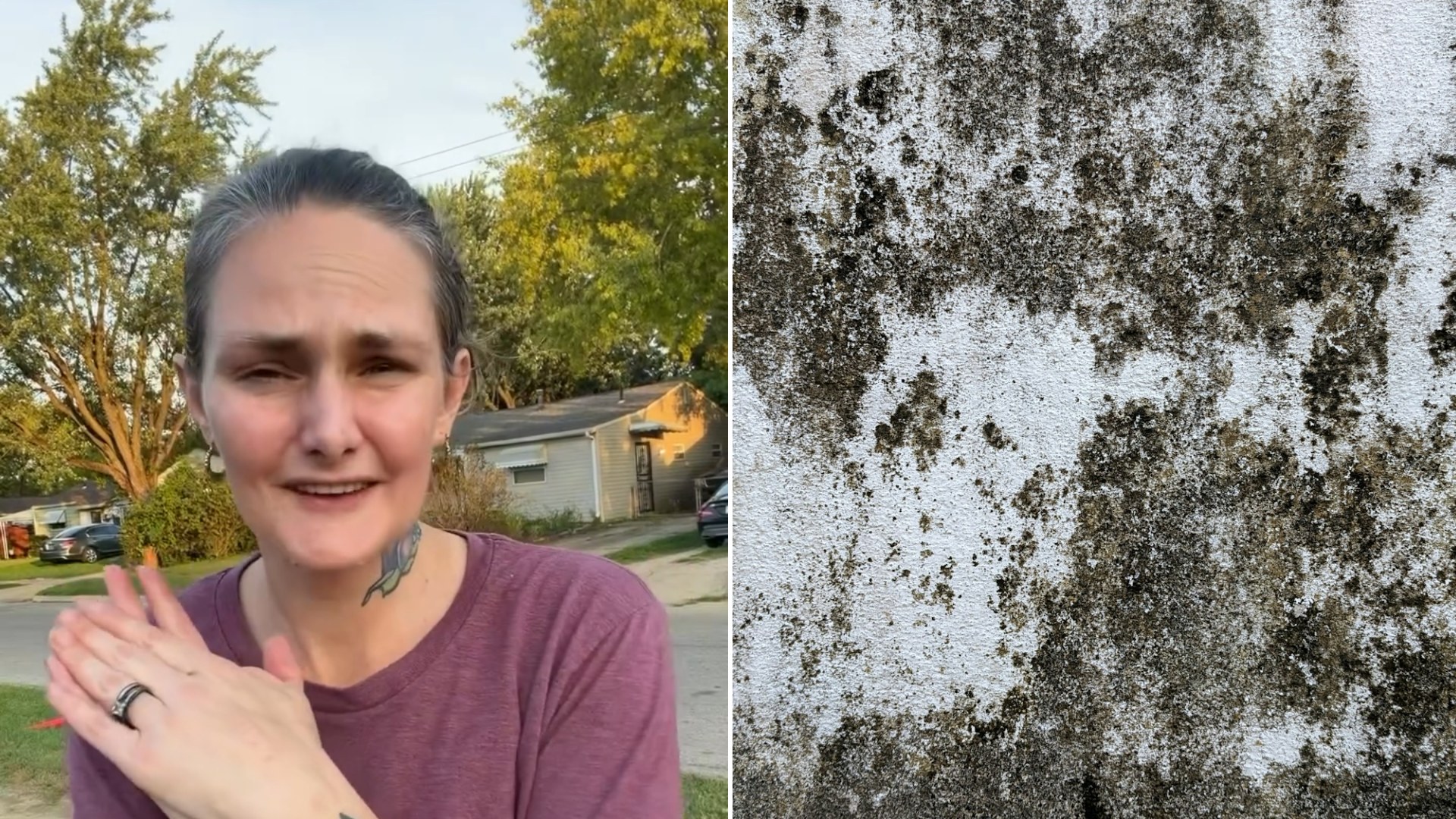 Split image: a woman in a maroon T-shirt speaks to camera in a yard with houses and trees behind her, next to a close-up of a white wall heavily covered in dark mold and mildew
