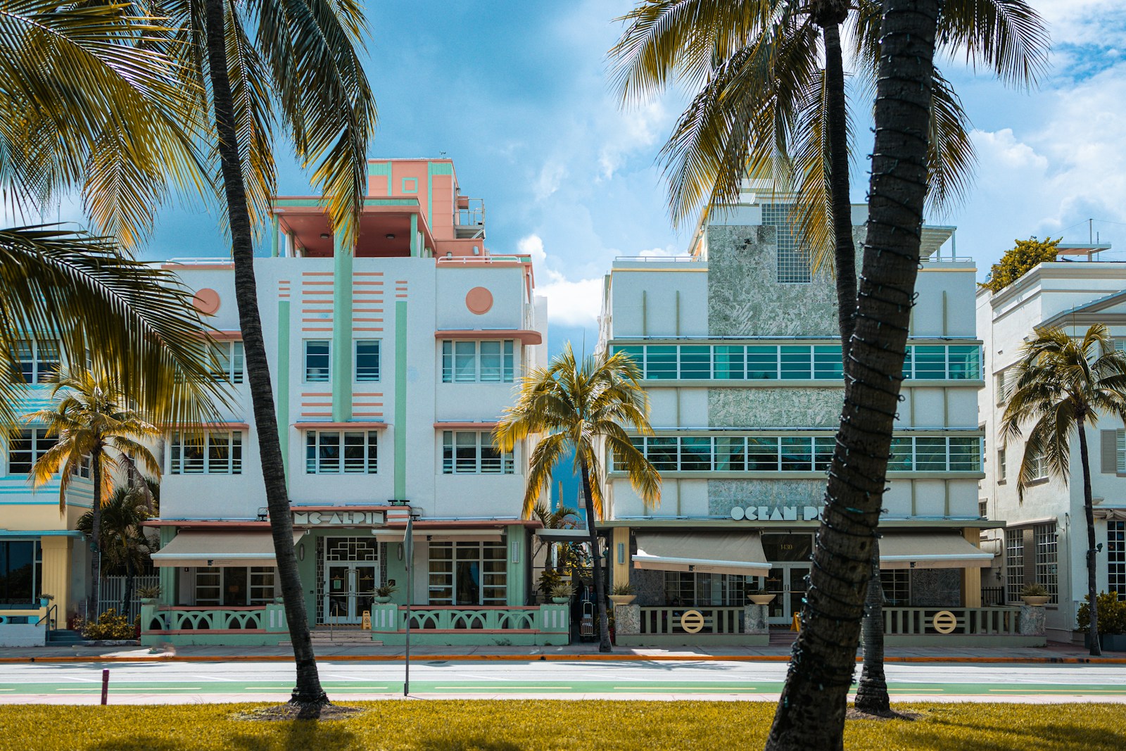 a large white building surrounded by palm trees