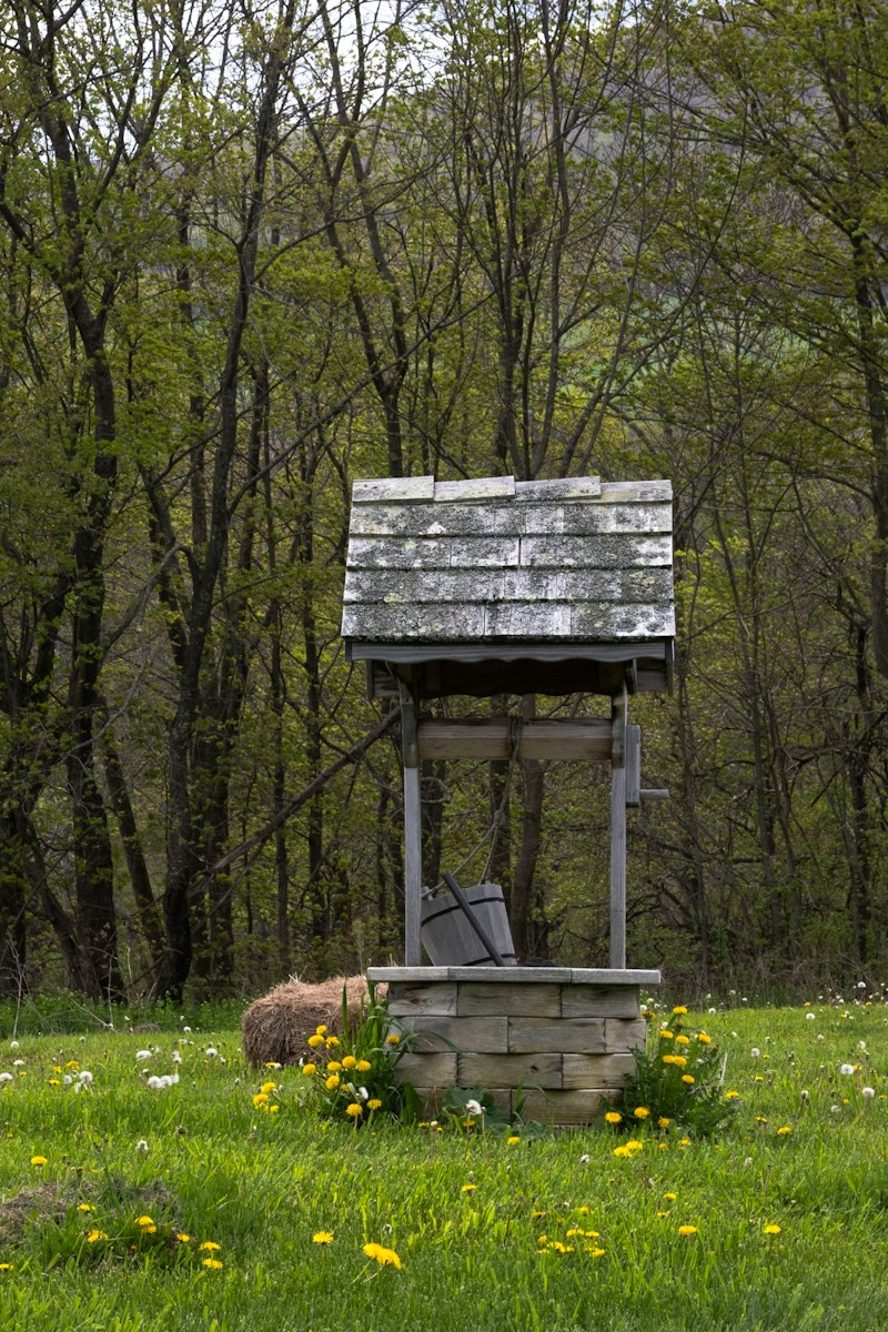 Old wishing well in a grassy field with trees