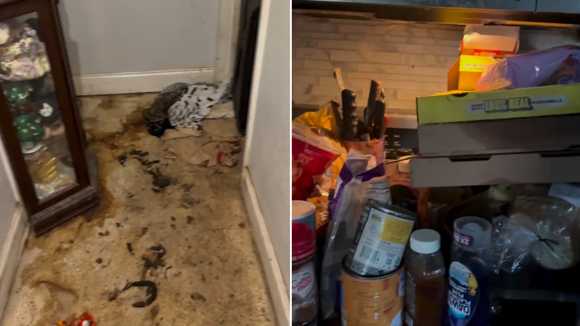 Split image from an Instagram reel: a badly stained hallway floor covered in debris beside a doorway, next to a cluttered kitchen counter piled with food containers, bottles and packaging