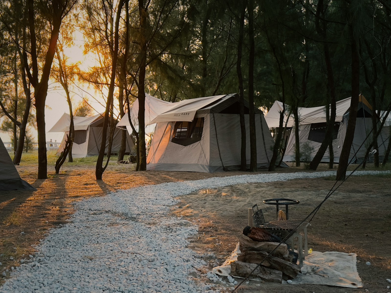a group of tents set up in the woods