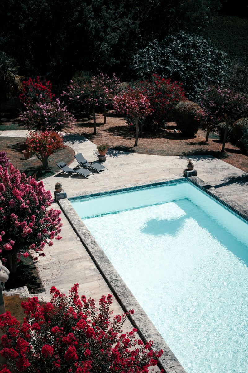 A beautiful sunlit garden in Bordeaux featuring a swimming pool surrounded by vibrant flora.