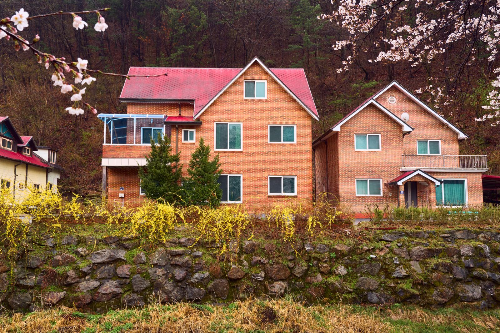 Brick houses with red roofs surrounded by spring blossoms, showcasing idyllic countryside living.