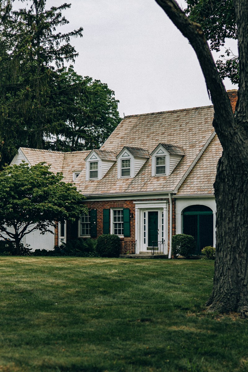 a house with a tree in front of it