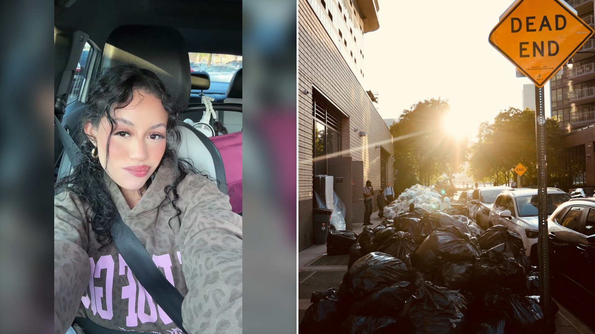 Chicago Renter Says Her Landlord Texted Asking If She Had Bugs Because the Same Neighbor Who Gave Them Bugs Dumped a Week of Trash